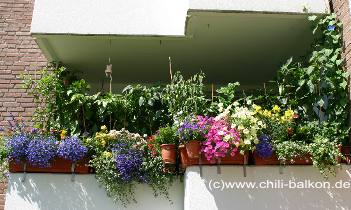 Balkon 28.06.2005