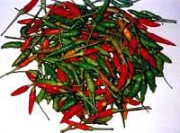 Thai-Chili (16.9 KB)