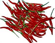 Thai-Chili (22.2 KB)