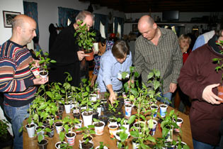 Chili und Paprika Pflanzenbörse 2008 - 6