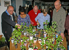 Chili und Paprika Pflanzenbrse 2008 - 7