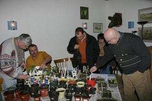 Chili Pflanzenbrse 06.03.2005