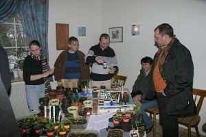 Chili Pflanzenbrse 06.03.2005