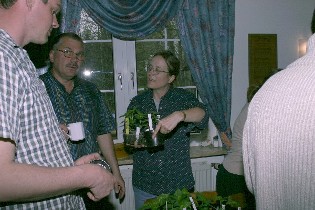 Chili-Brse 17.04.2005